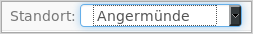 Standortauswahl